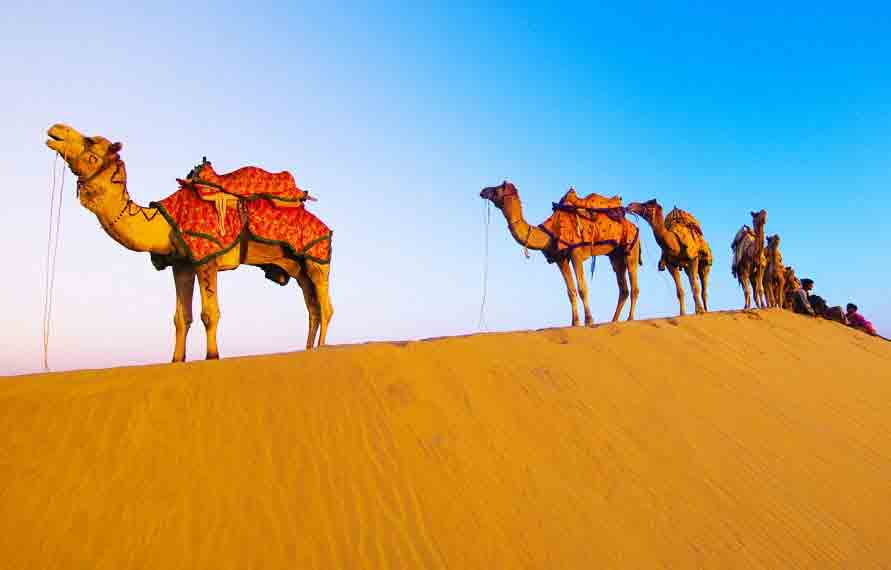 Desert Safari Tour